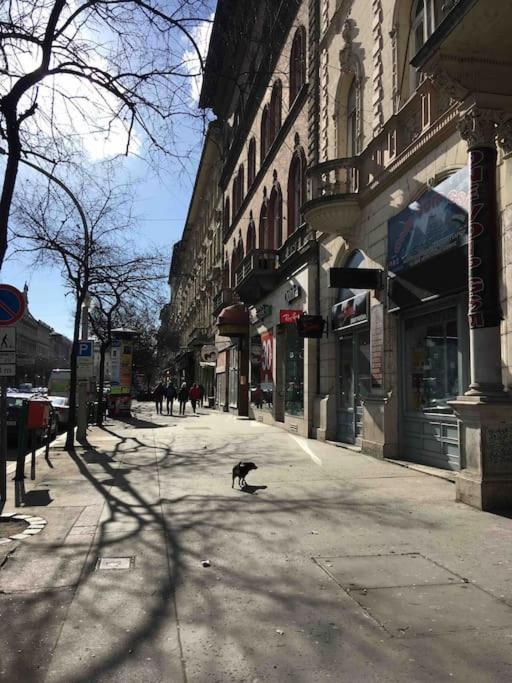Downtown Island Of Peace By Nw Lägenhet Budapest Exteriör bild